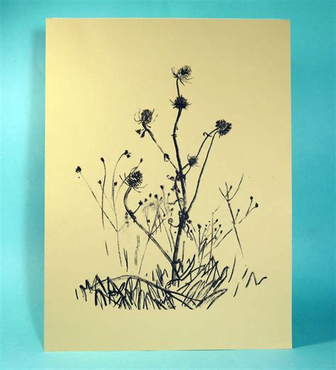 teasels digital print